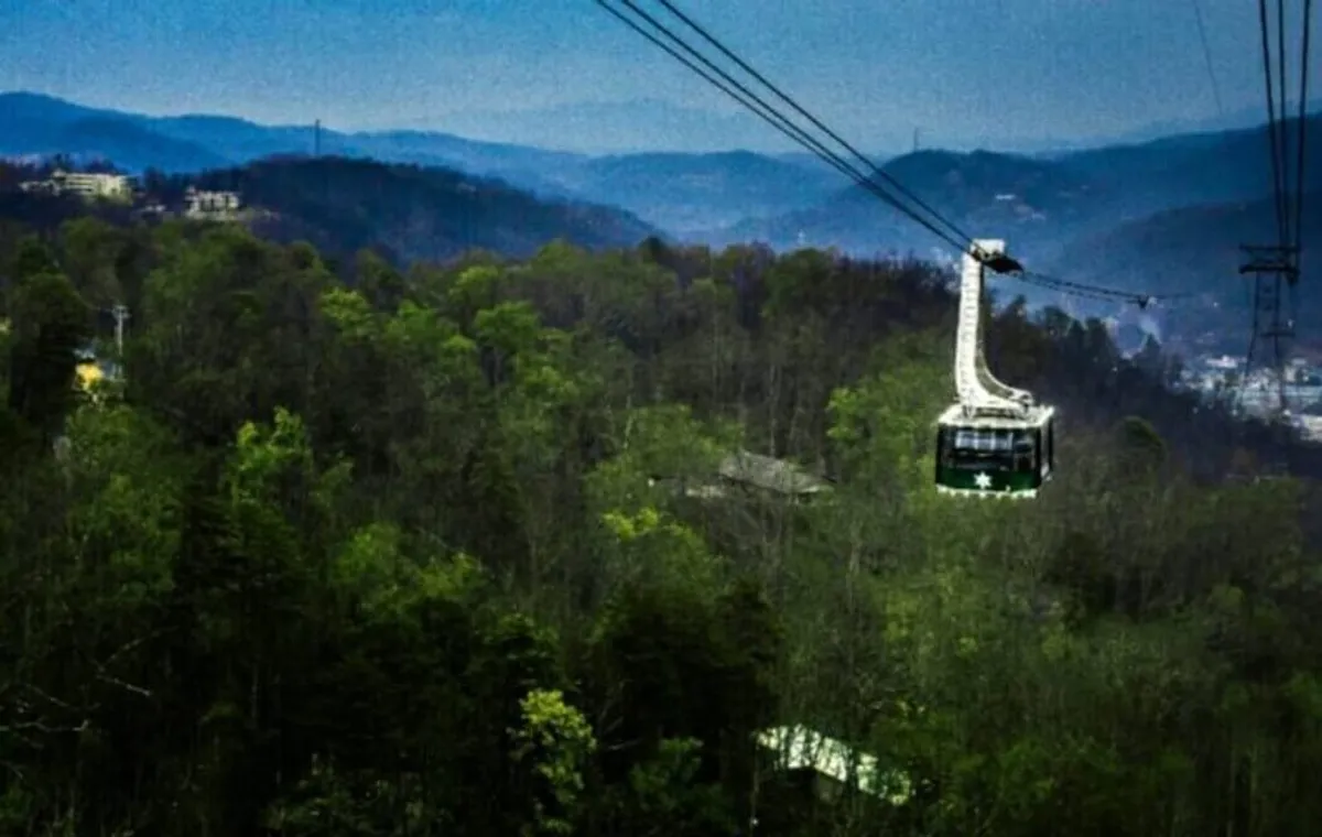A gondola moves gracefully above a forested mountain landscape, its cable lines disappearing into the distance. The scene evokes a sense of adventure and romance, as travelers are lifted high above the trees, offering breathtaking panoramic views of the mountains and city below.