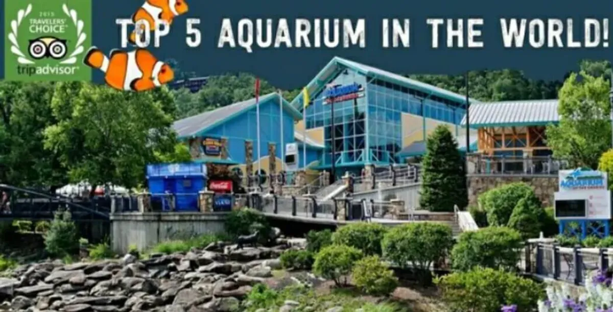 The image features the exterior of Ripley’s Aquarium of the Smokies, with its recognizable building, landscaped gardens, a rocky pathway, and clear signage welcoming families. The bright atmosphere and visible pathways invite visitors for a day of interactive, aquatic fun.